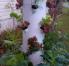 Available hydroponic garden if you choose to use it.  Little maintenance, just keep bottom filled with water and pick the harvest.
